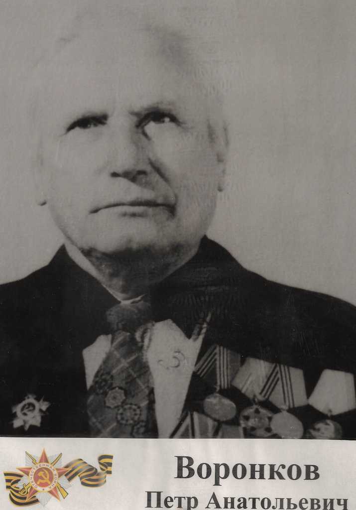 Воронков Пётр Анатольевич Image