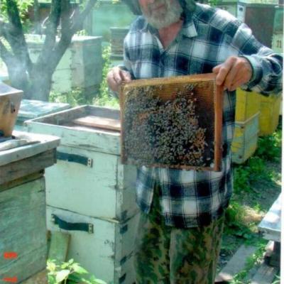 Василий Николаевич пчеловод